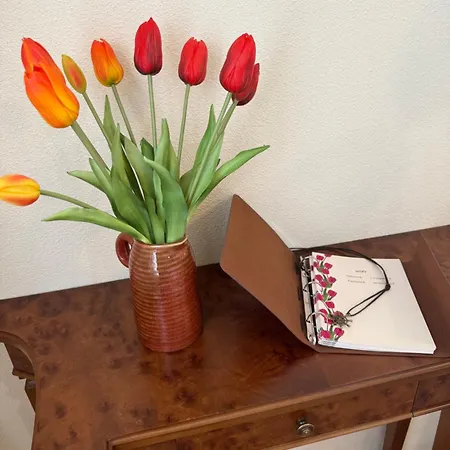 Dolce 公寓 特雷梅佐